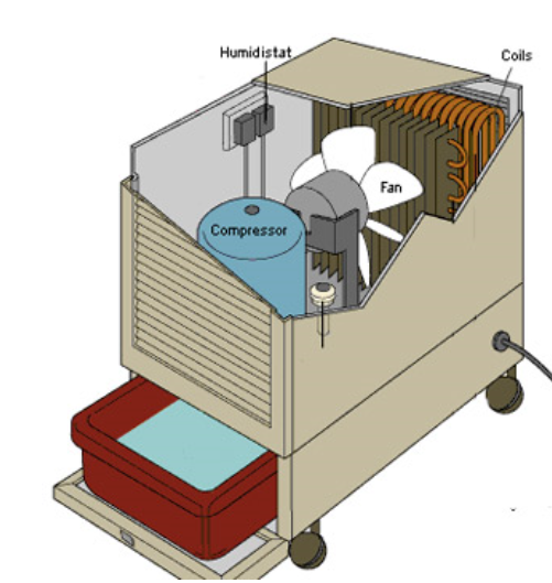 k12-710-image64.png