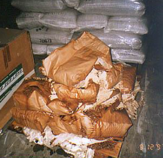 k12-9-image18.png