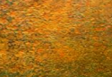 k48_image73.png